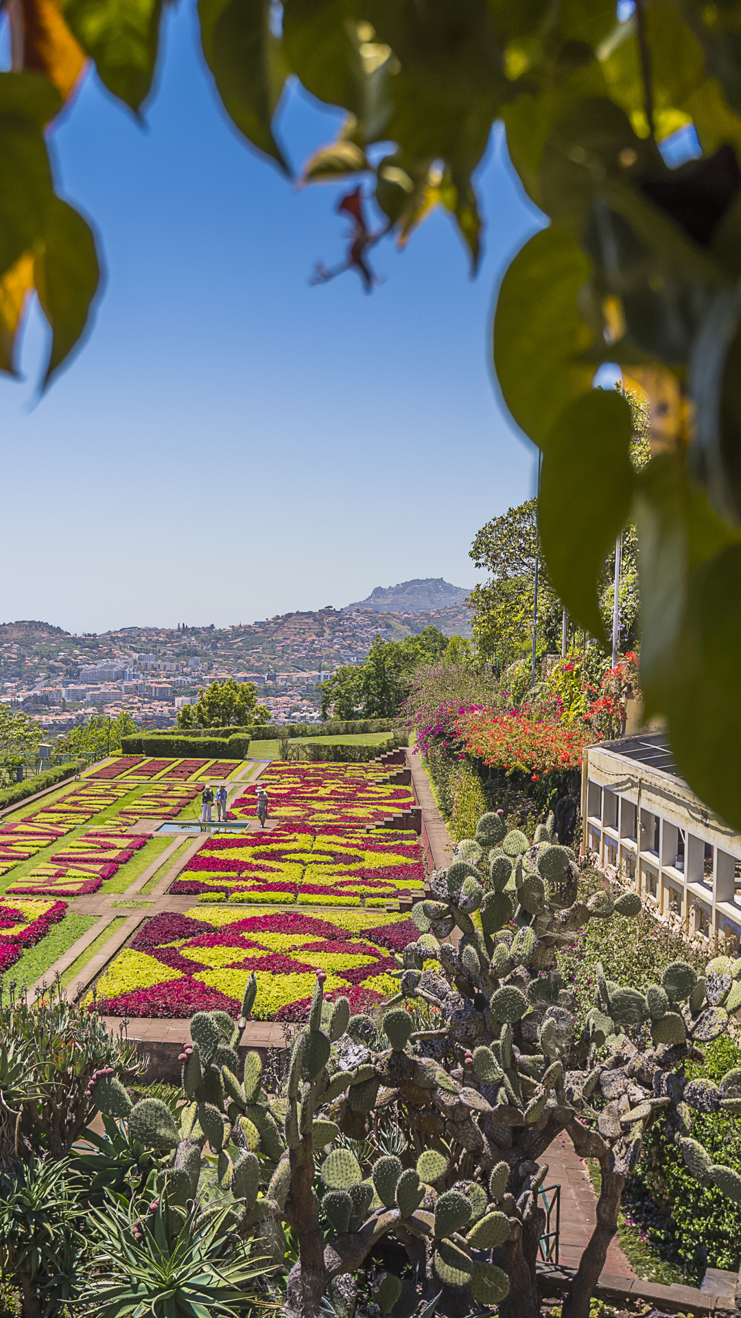Funchal Madeira 6