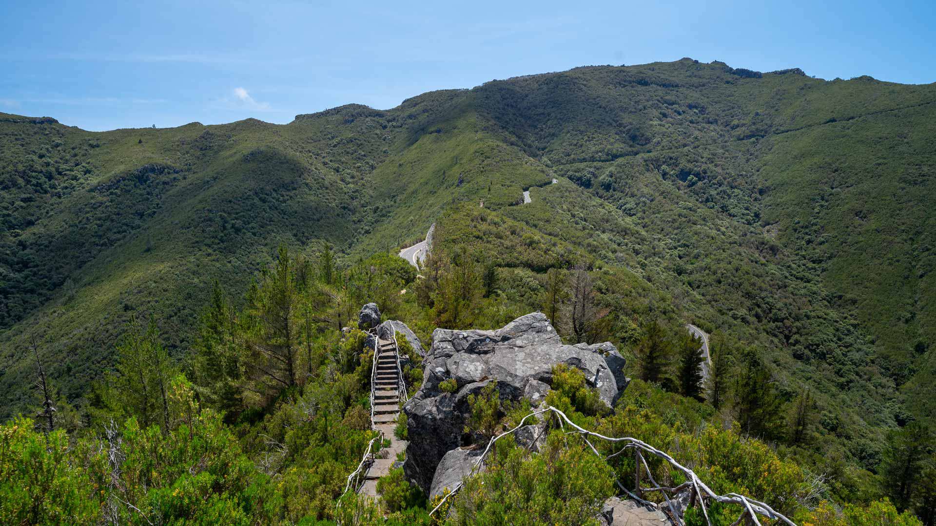 Picarouto viewpoint 2