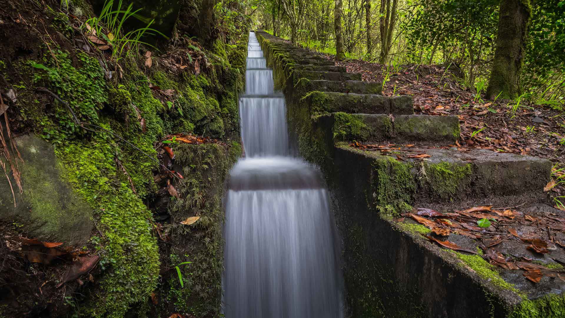  ribeiro frio 7